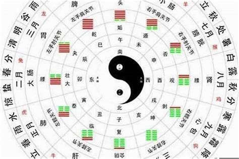 黃的五行|五行颜色金木水火土都是什么色 五行颜色属性对照表